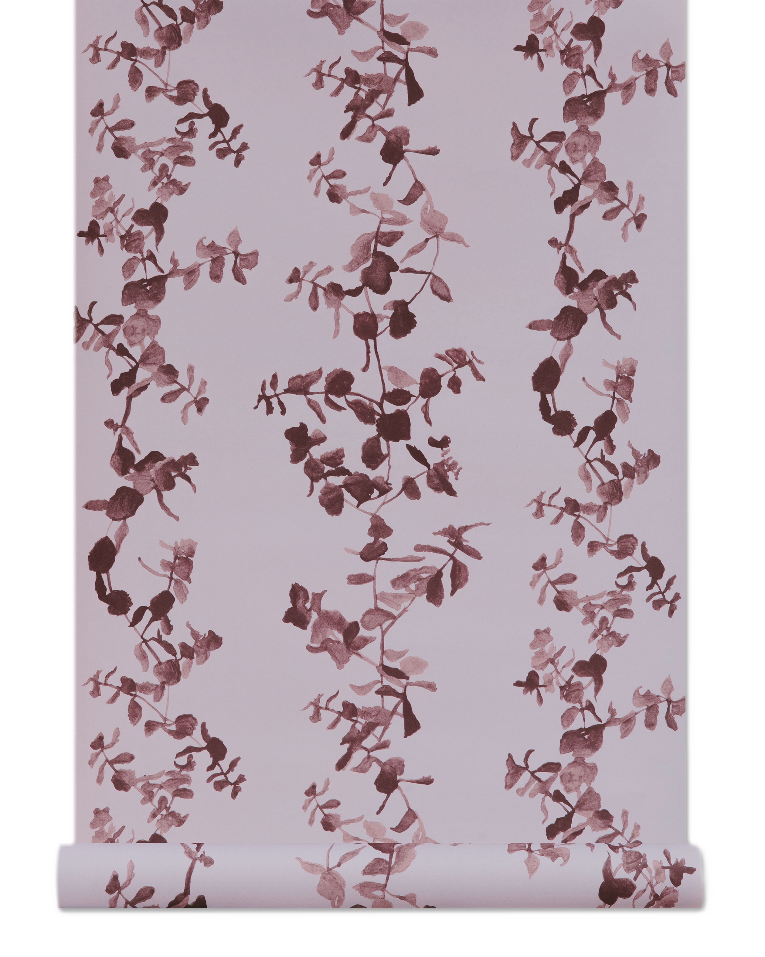 Succulents Wallpaper