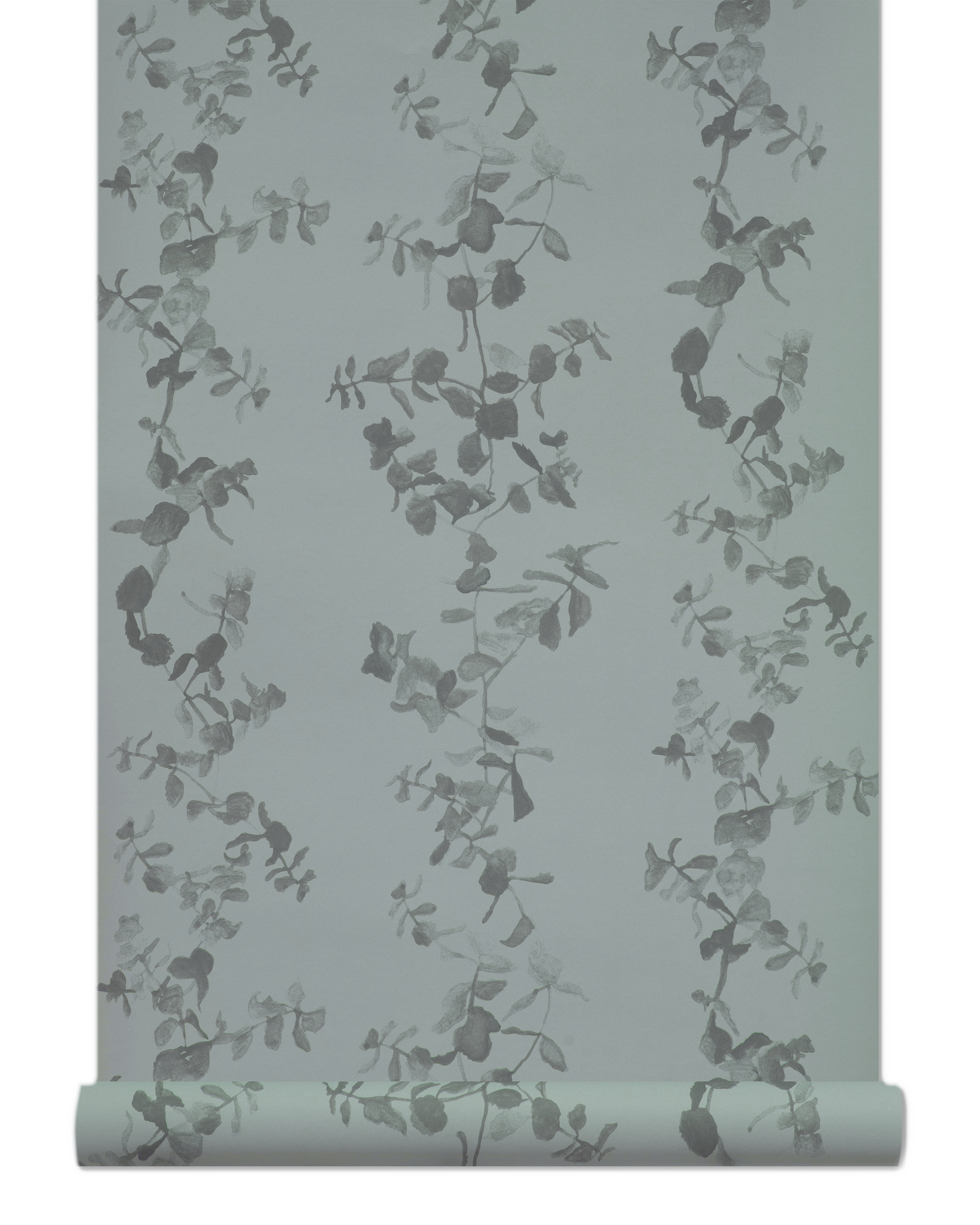 Succulents Wallpaper