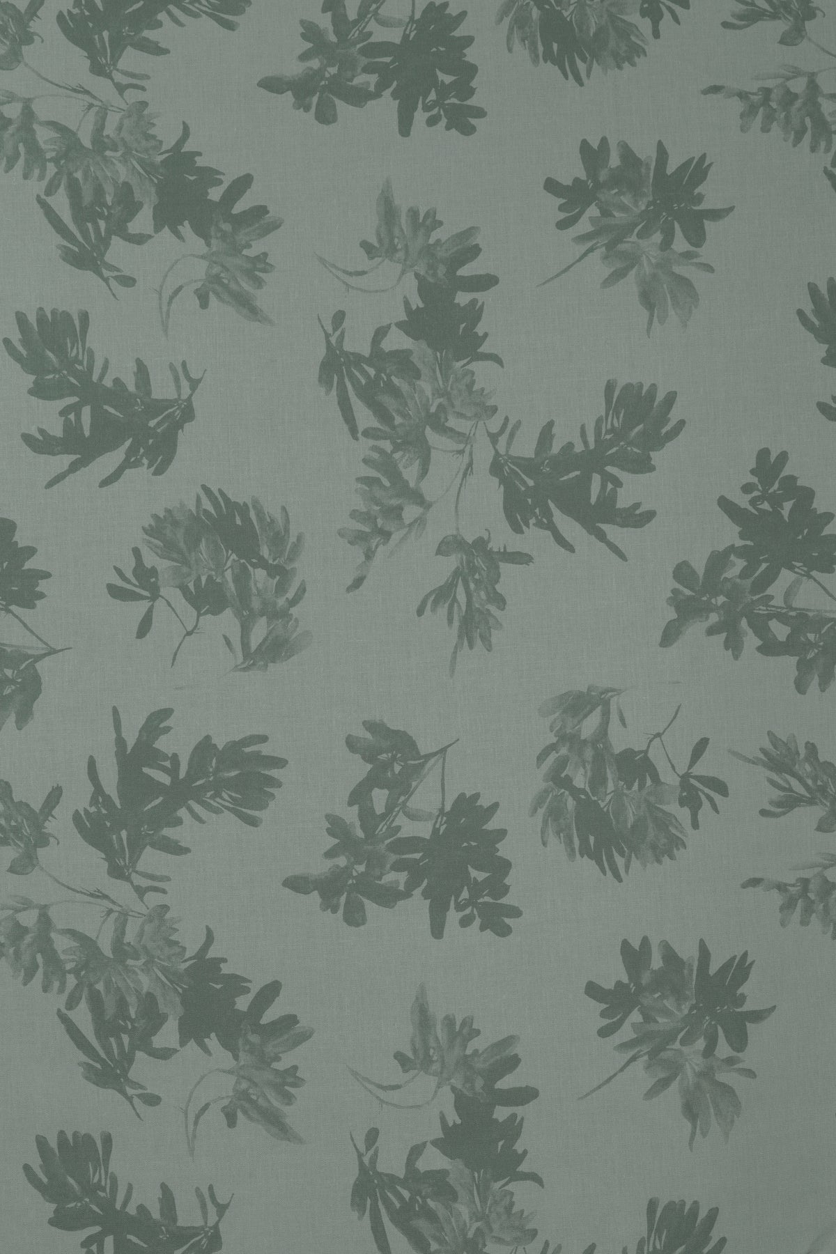 Pittosporum Fabric