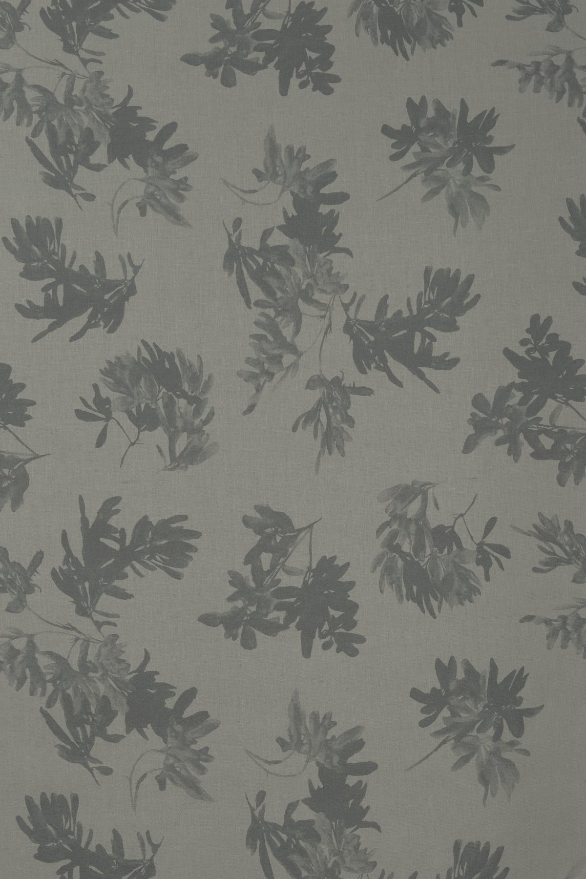 Pittosporum Fabric