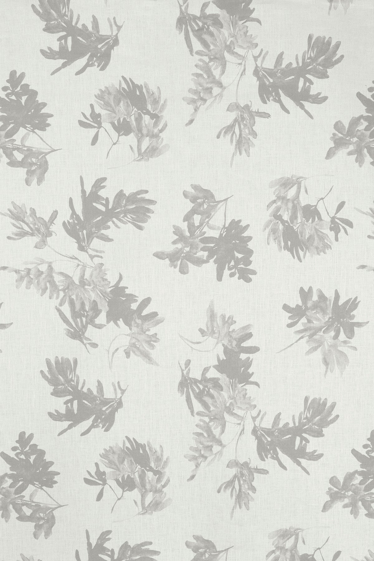 Pittosporum Fabric