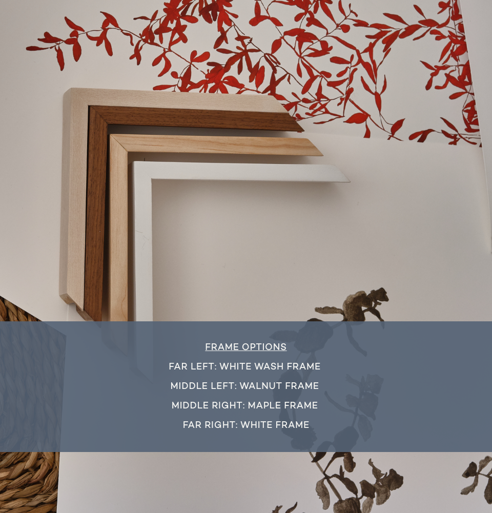 Pittosporum Art