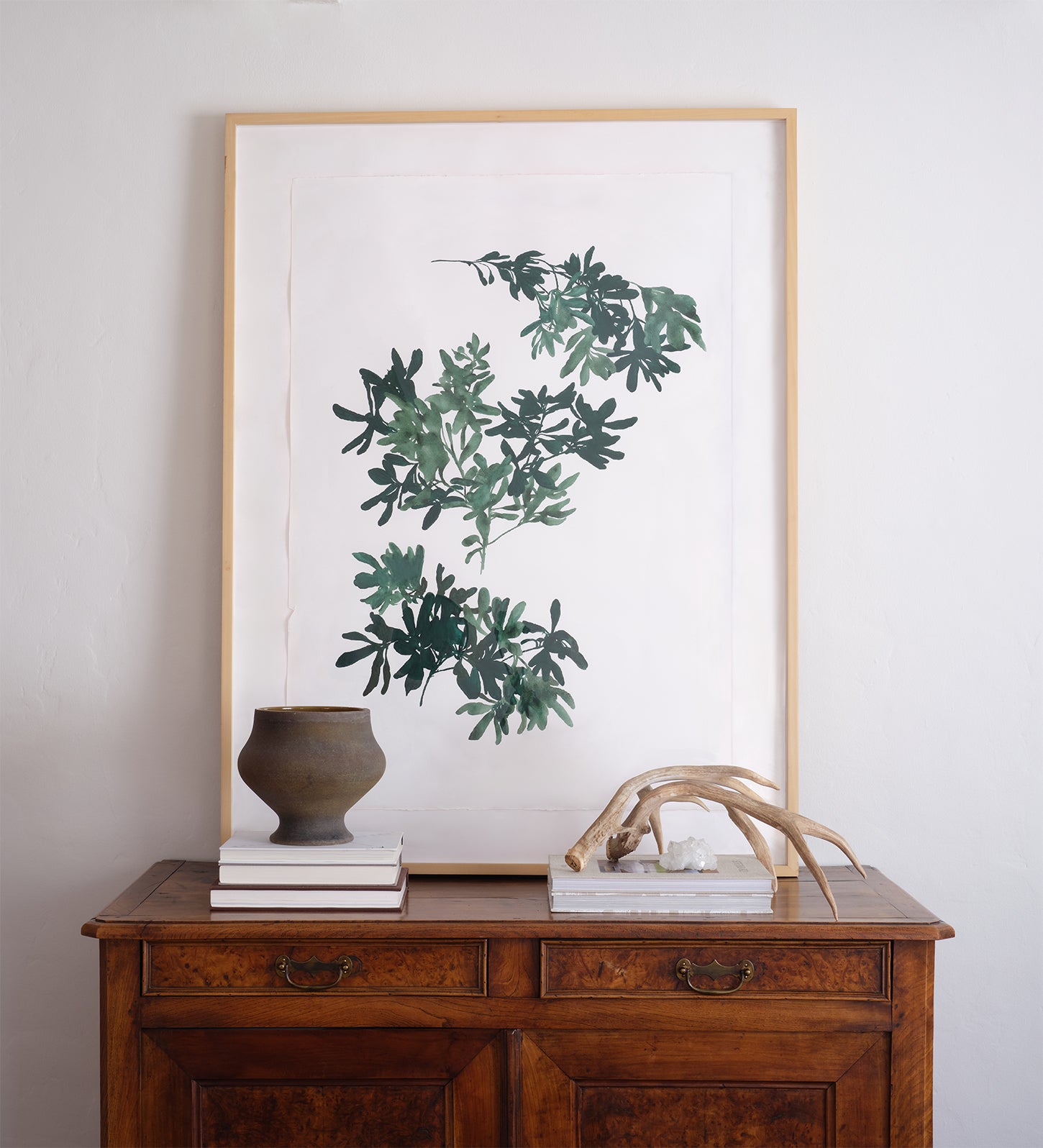 Pittosporum Art