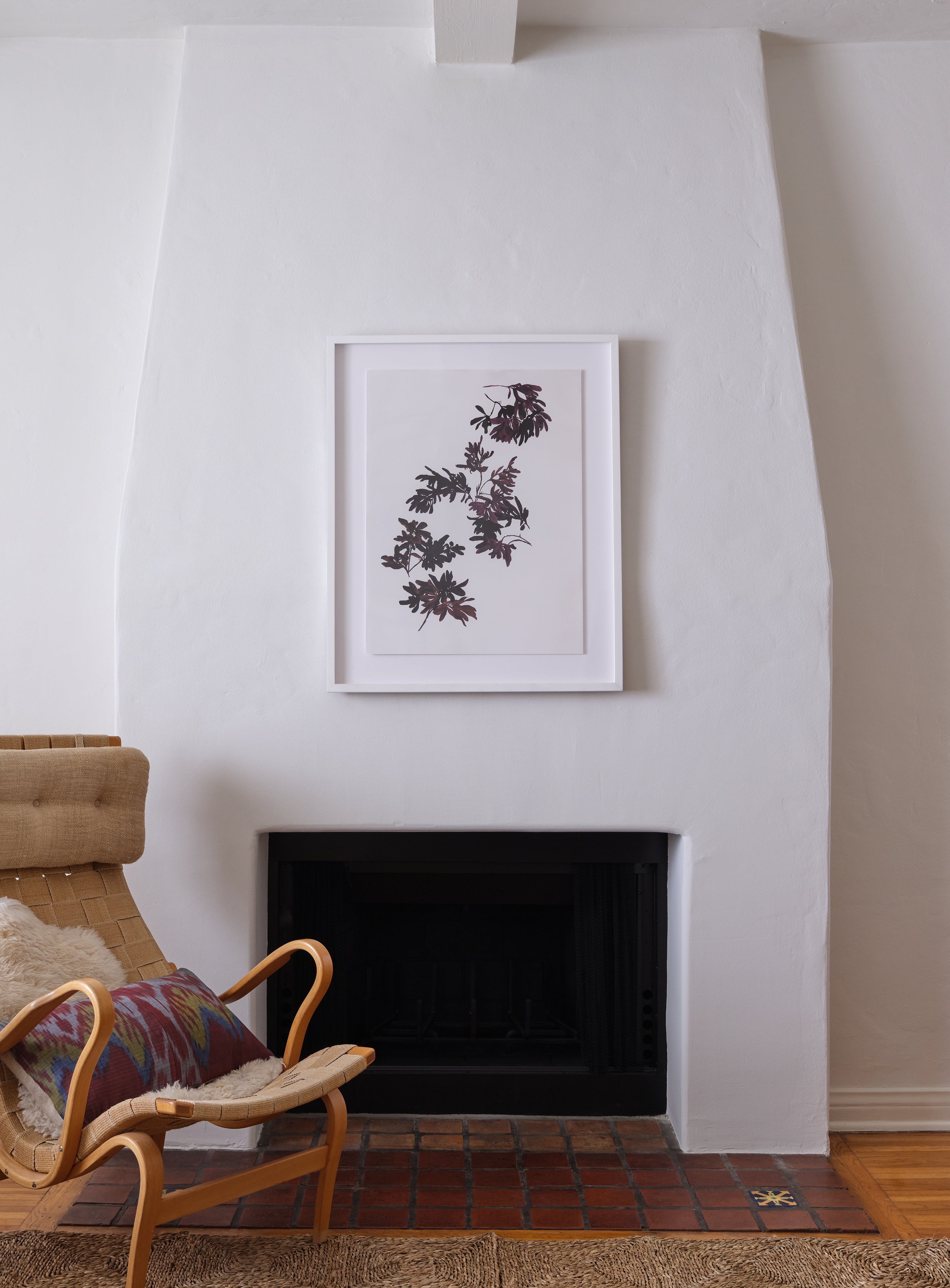 Pittosporum Art