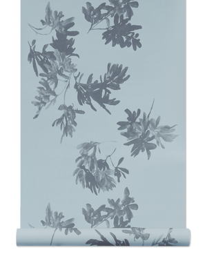 Pittosporum Wallpaper