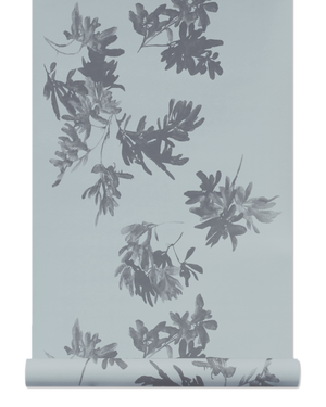 Pittosporum Wallpaper