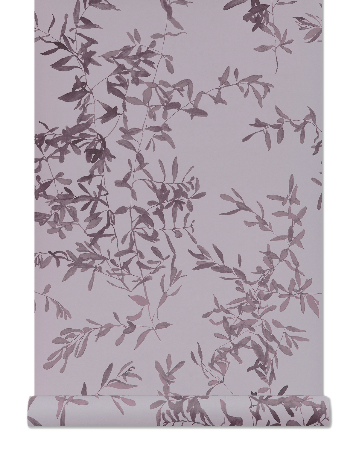 Olives Wallpaper