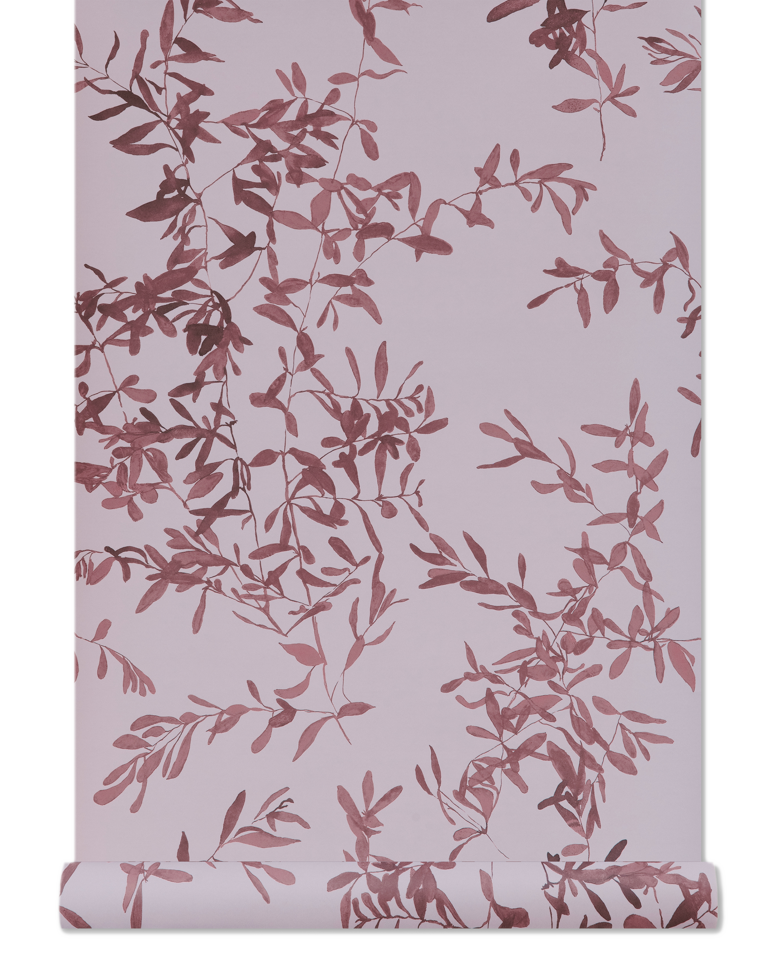 Olives Wallpaper