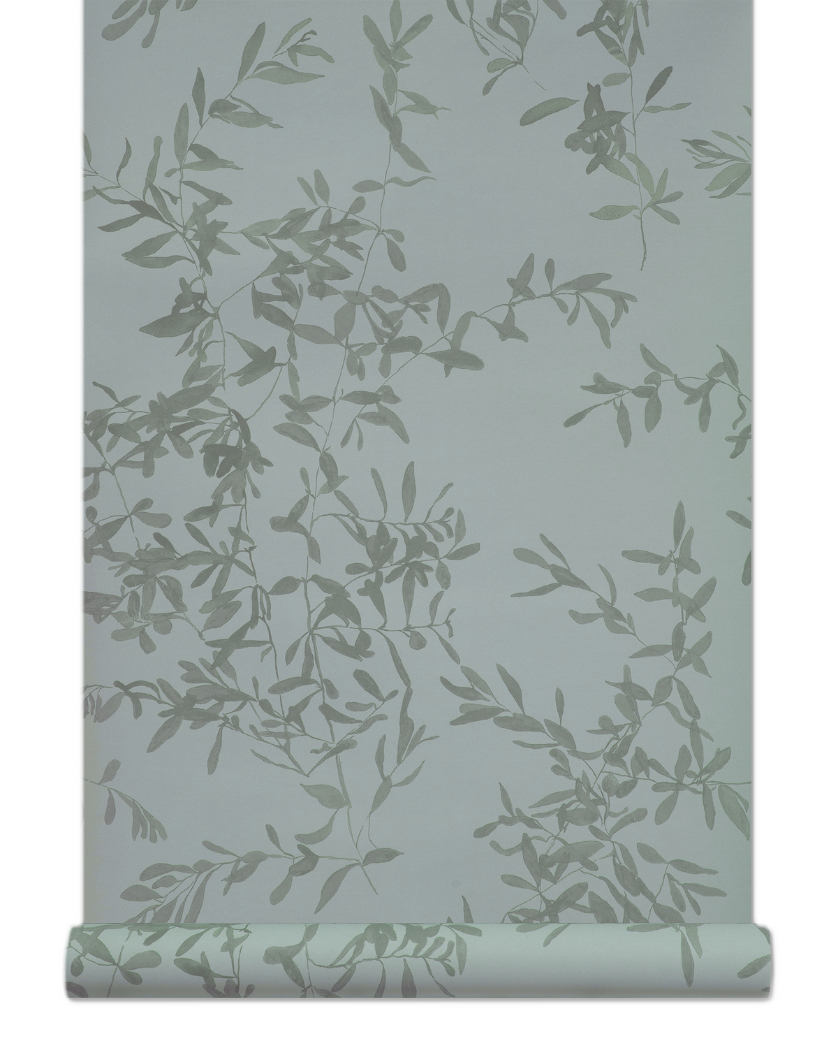 Olives Wallpaper