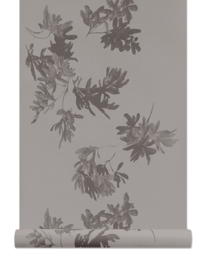 Pittosporum Wallpaper