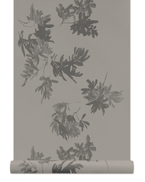 Pittosporum Wallpaper