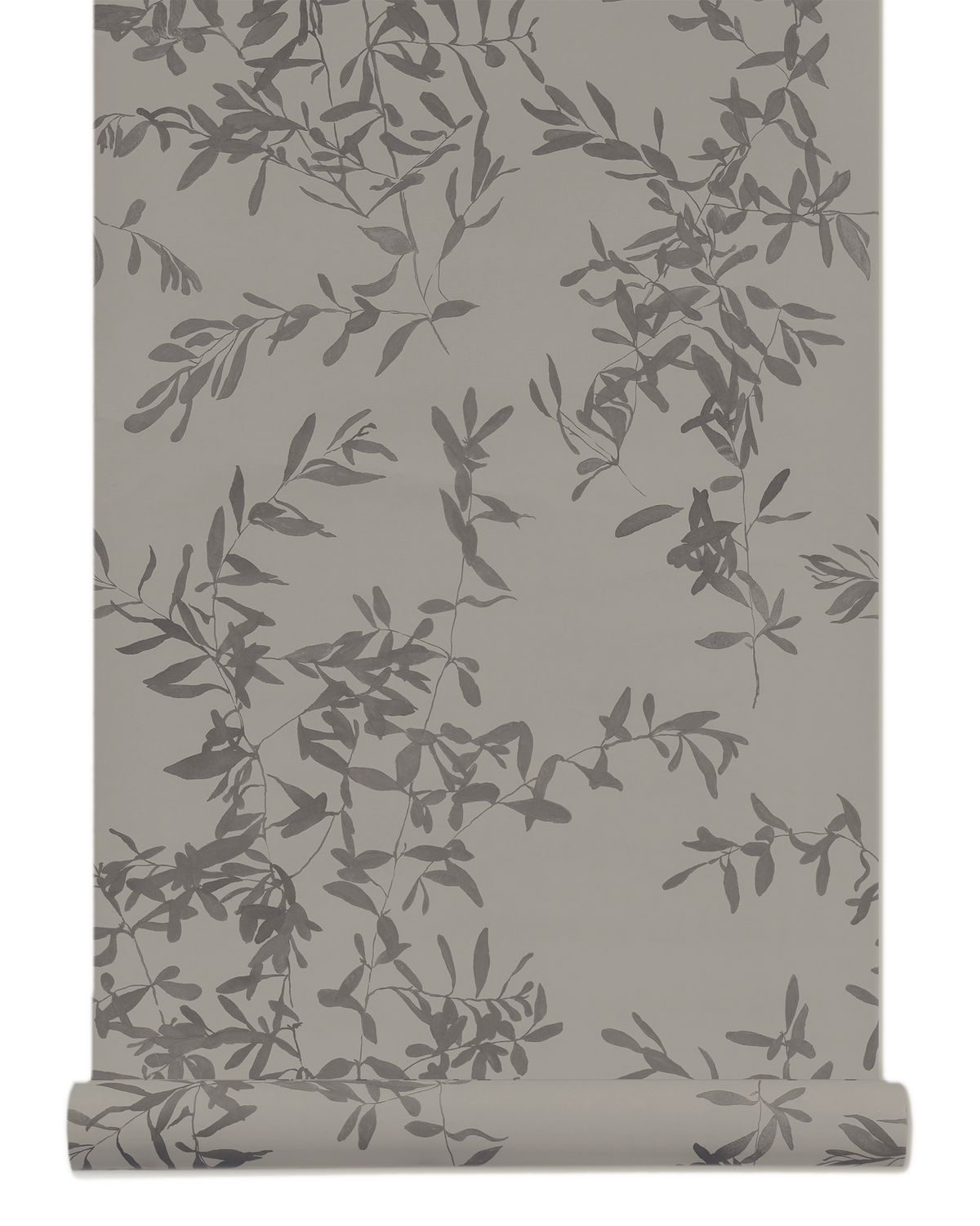 Olives Wallpaper