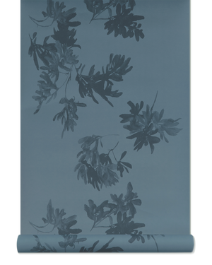 Pittosporum Wallpaper