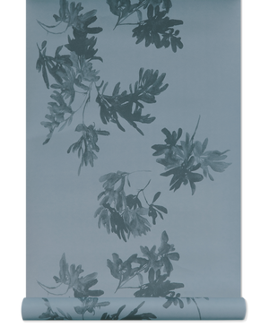 Pittosporum Wallpaper