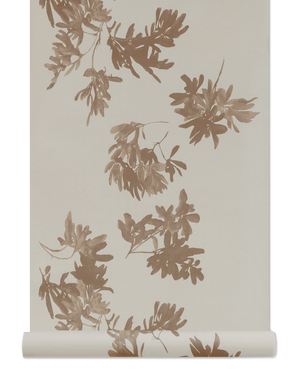 Pittosporum Wallpaper