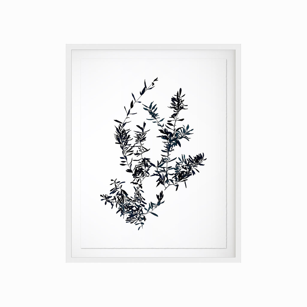 Olive Branch Art