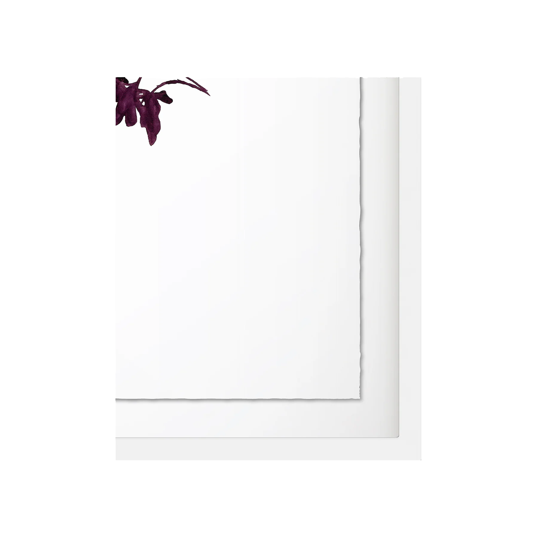 Pittosporum Art