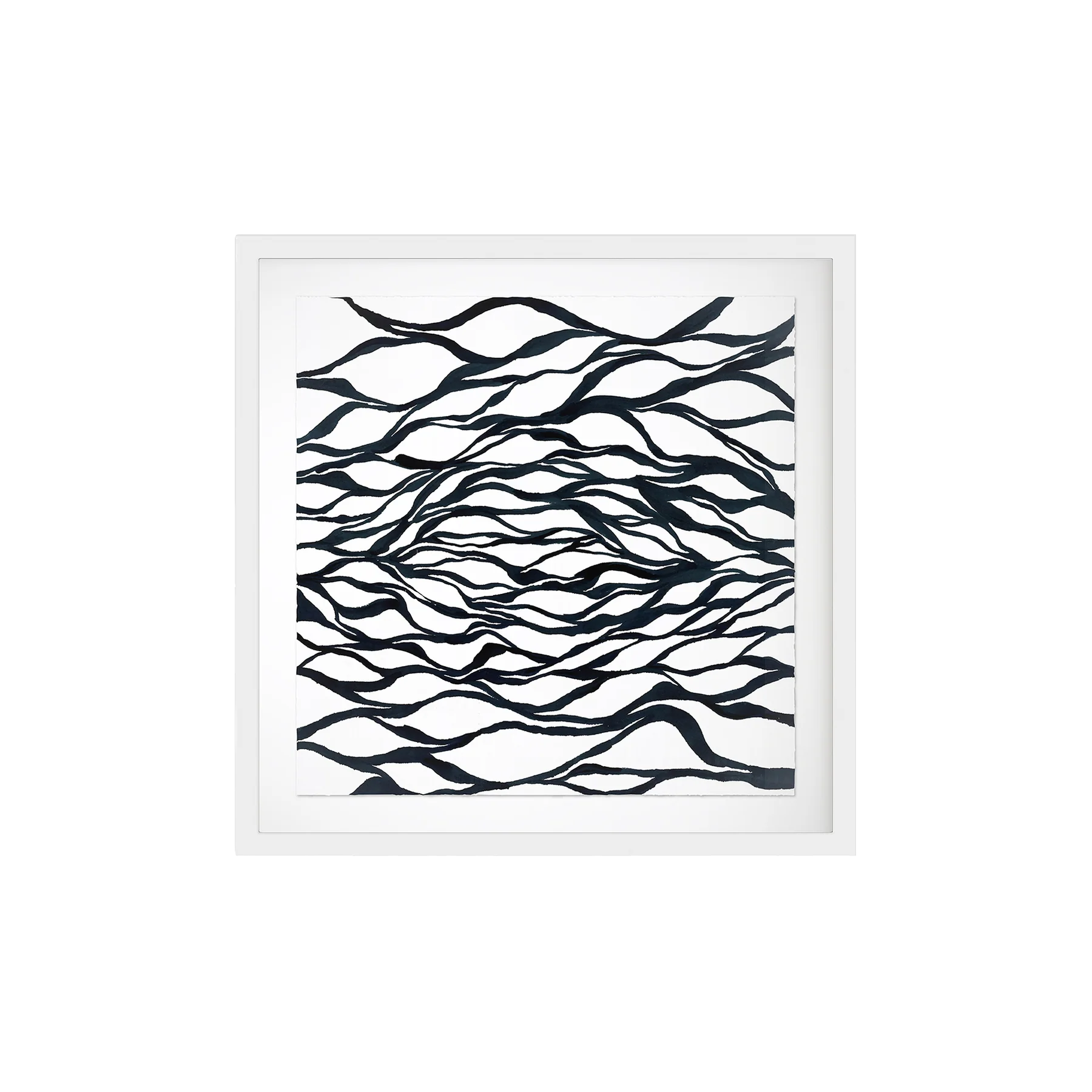 Seaweed Art