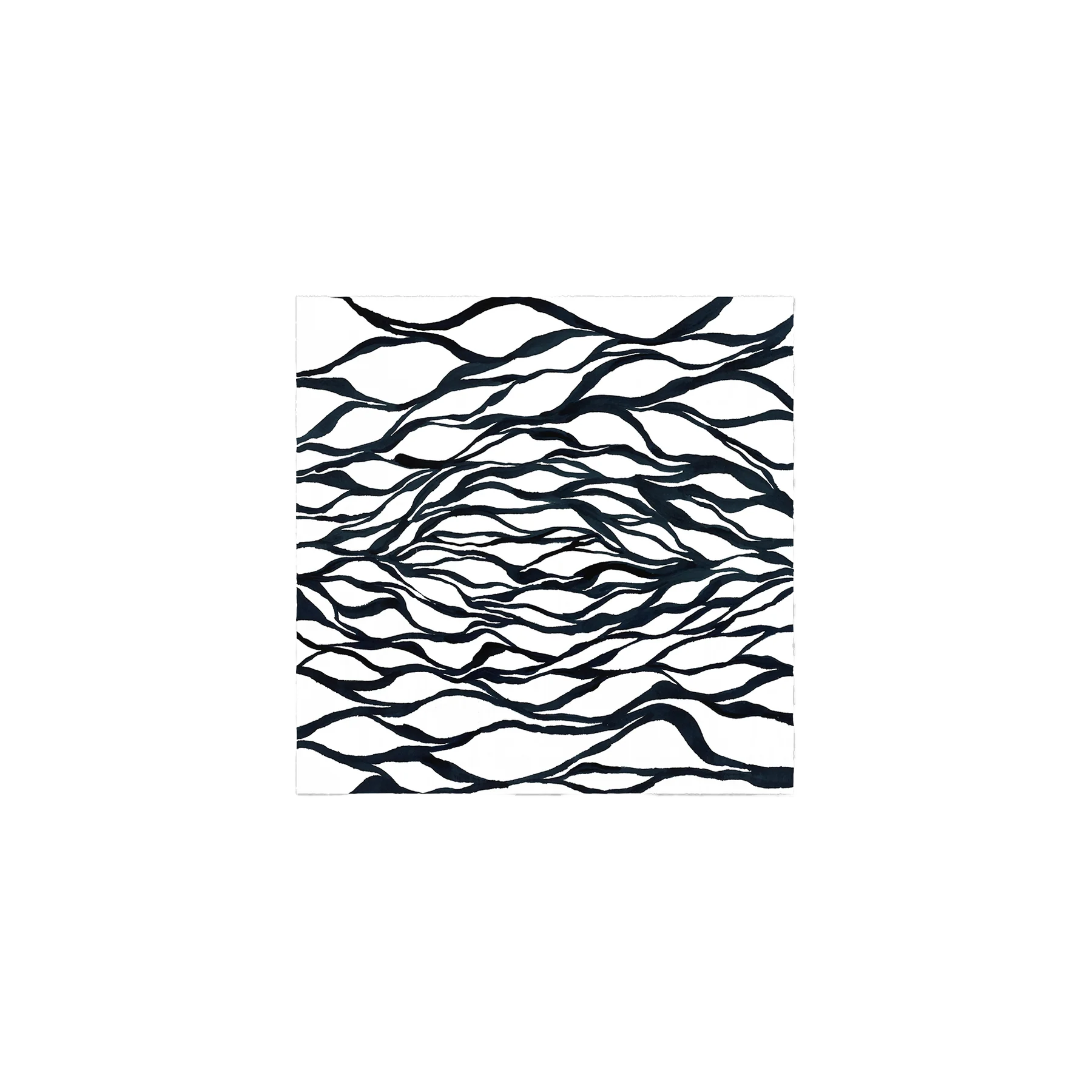 Seaweed Art