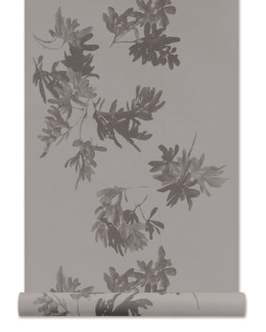Pittosporum Wallpaper