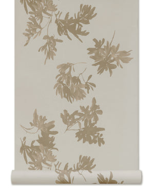 Pittosporum Wallpaper